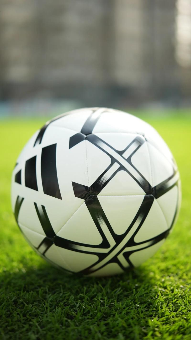 天天盈球数据分析功能界面