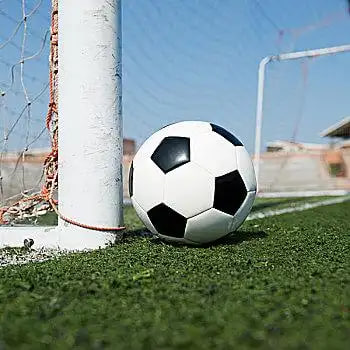 天天盈球多平台支持展示